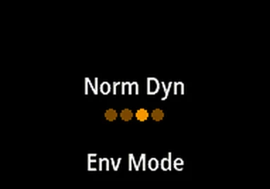 the chosen option named, with a dot for every choice