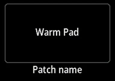 a framed area showing text, here a patch name